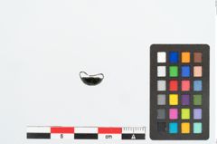 Foto von Bronzezwingenniet (NHMW-PRAE-026299)